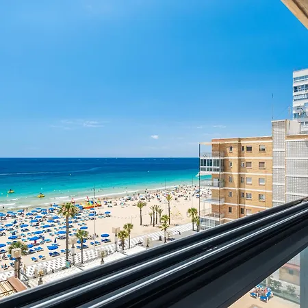 Excelsior Deluxe First Line