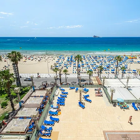 Excelsior Deluxe First Line *