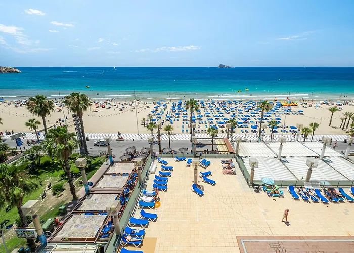 Excelsior Deluxe First Line *